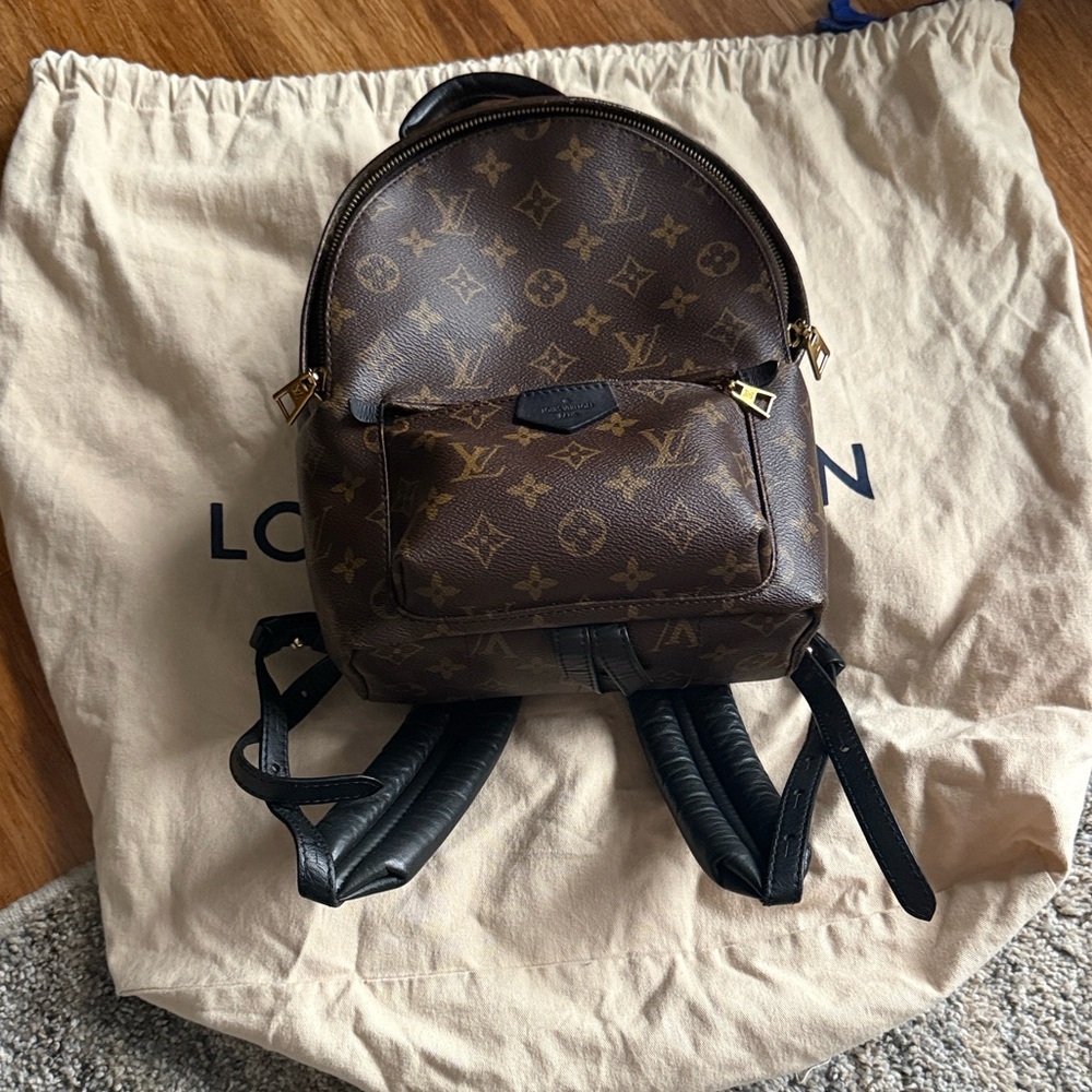 Louis Vuitton Palm Spring PM